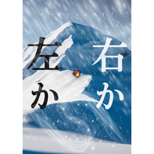 右か左か