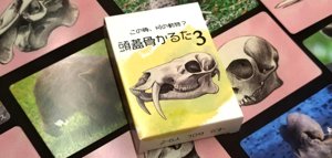 頭蓋骨かるた３
