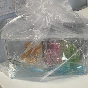クラクラゲ