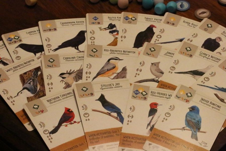 ウイングスパンの鳥カード